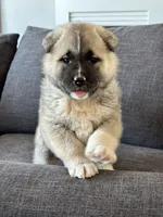 processed/244bc81e-dbf5-4b98-b4f8-dd08c015c717/listing/41e1734e-58da-463d-996d-2c9a43a494c5/082df99e-9dc9-4b6f-9131-d614c3246cfb