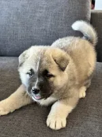 processed/244bc81e-dbf5-4b98-b4f8-dd08c015c717/listing/41e1734e-58da-463d-996d-2c9a43a494c5/15431d8a-5cc0-4899-93b8-5ac77f2345a0