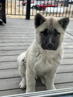 processed/244bc81e-dbf5-4b98-b4f8-dd08c015c717/listing/41e1734e-58da-463d-996d-2c9a43a494c5/2ecdebb7-b3cb-4ba3-9677-b6ae381c3cc5