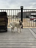 processed/244bc81e-dbf5-4b98-b4f8-dd08c015c717/listing/41e1734e-58da-463d-996d-2c9a43a494c5/414032de-e457-4b33-94b6-11eb7503de39