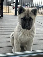 processed/244bc81e-dbf5-4b98-b4f8-dd08c015c717/listing/41e1734e-58da-463d-996d-2c9a43a494c5/52cf2e6d-6a8e-4aed-b8e9-4fdde5aac305