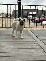 processed/244bc81e-dbf5-4b98-b4f8-dd08c015c717/listing/41e1734e-58da-463d-996d-2c9a43a494c5/84120ff2-0f41-47dc-9cef-2a056d26c29d