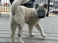 processed/244bc81e-dbf5-4b98-b4f8-dd08c015c717/listing/41e1734e-58da-463d-996d-2c9a43a494c5/c1086692-9245-42e9-af74-0b64c6a71f11