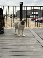 processed/244bc81e-dbf5-4b98-b4f8-dd08c015c717/listing/41e1734e-58da-463d-996d-2c9a43a494c5/dcc7d75a-140b-4212-8df2-b86357f0697d