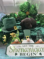 AKC Boy - Aladdin, a male Miniature Dachshund for sale in DeLand, FL – Photo 3 of 3