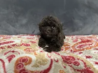 processed/24575c4e-6bfa-4a7b-b4f8-cd8dddd8a22d/listing/b2bcf81a-0c71-4abe-9a8c-efc0bd97e598/51b7c77c-b5d6-434f-b211-17404930afcc