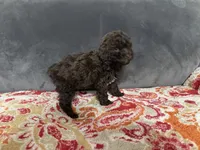 processed/24575c4e-6bfa-4a7b-b4f8-cd8dddd8a22d/listing/b2bcf81a-0c71-4abe-9a8c-efc0bd97e598/528b31c6-349e-4448-837d-11485278602c