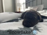 processed/245a5051-736a-4ad9-81fc-7410f4c9d190/listing/30d062b4-139e-4ad6-a7b3-0c69b1dcb4ff/69f300a1-eba8-494a-b695-bfcddd1fd2cf