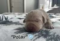 processed/245a5051-736a-4ad9-81fc-7410f4c9d190/listing/93854c56-4137-40cb-8e7a-334ec4c1d993/384495f5-5c68-48a1-a910-3eb270bfbccf