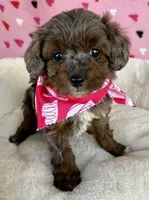 processed/245bacdb-c5db-476b-befa-9f51c6213f9f/listing/044cf97d-fb6b-4ec9-a5b1-dbe7c8934f21/436fa5a6-c2f0-4649-b571-073399d56cb9