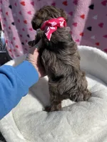 processed/245bacdb-c5db-476b-befa-9f51c6213f9f/listing/044cf97d-fb6b-4ec9-a5b1-dbe7c8934f21/6a2646f8-6e43-4940-b7d9-c702707c429c