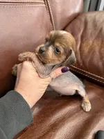 processed/245bacdb-c5db-476b-befa-9f51c6213f9f/listing/1df04b0c-8d8b-4703-9843-005aec26569d/bd0a8241-c5d5-4455-a362-123aafb619ff