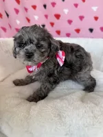 processed/245bacdb-c5db-476b-befa-9f51c6213f9f/listing/27737d61-d286-4cc8-924c-fe0e44c70507/c4b566eb-1db2-4193-8ef1-ba03f23680fa