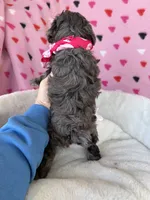 processed/245bacdb-c5db-476b-befa-9f51c6213f9f/listing/27737d61-d286-4cc8-924c-fe0e44c70507/d726f7a9-25a8-49bb-a847-f743e51728a1