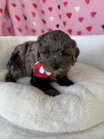 processed/245bacdb-c5db-476b-befa-9f51c6213f9f/listing/d4b295fe-89b7-40ff-9b21-dc7cf15d583d/532e9fc5-c197-467d-a317-01681701f9fa