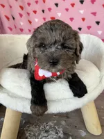 processed/245bacdb-c5db-476b-befa-9f51c6213f9f/listing/d4b295fe-89b7-40ff-9b21-dc7cf15d583d/7e268ed8-853f-49da-8c11-708e8006e627