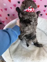 processed/245bacdb-c5db-476b-befa-9f51c6213f9f/listing/d4b295fe-89b7-40ff-9b21-dc7cf15d583d/8b4ab436-e2aa-4fc9-8712-9cc5c2d18a7d