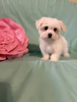 processed/245e10e1-11ef-4437-bda2-8d2ecf14b028/listing/1ee82c90-938d-4152-a2be-35484451f6ac/494fb930-efb6-4526-90f4-6ca39c4a0af0