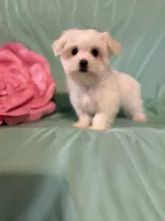 processed/245e10e1-11ef-4437-bda2-8d2ecf14b028/listing/1ee82c90-938d-4152-a2be-35484451f6ac/f05353c8-380e-4dce-b4ab-c6ad0ad8872d