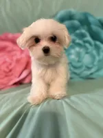 processed/245e10e1-11ef-4437-bda2-8d2ecf14b028/listing/8f1ad1bf-87c3-48d3-abdd-2efb70ce03b7/0b750309-90c3-44c7-9ad4-2234d4fadc7a