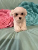 processed/245e10e1-11ef-4437-bda2-8d2ecf14b028/listing/8f1ad1bf-87c3-48d3-abdd-2efb70ce03b7/d5ba9fb6-8216-4e76-aebc-d1457e4f2049