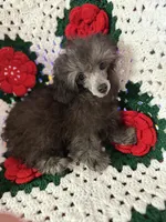 processed/245e10e1-11ef-4437-bda2-8d2ecf14b028/listing/f528d64d-311c-4bf4-a8fc-70d1943054a9/bee8af9e-c706-41c7-9ebb-3f98f0212fed