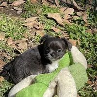 processed/2464a87c-7af3-40bf-9ee2-e7f58e5263e4/facility/1e95c01f-b726-4043-85eb-d9b0b7cc538a