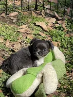 processed/2464a87c-7af3-40bf-9ee2-e7f58e5263e4/facility/1e95c01f-b726-4043-85eb-d9b0b7cc538a