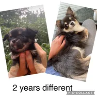 processed/2464a87c-7af3-40bf-9ee2-e7f58e5263e4/facility/5725b843-2cfe-42d1-b953-61cd6ce7053f