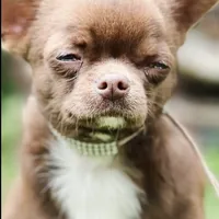 processed/2464a87c-7af3-40bf-9ee2-e7f58e5263e4/facility/9c8c8d44-8095-411d-9d3e-33d43c07cc5f