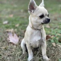 processed/2464a87c-7af3-40bf-9ee2-e7f58e5263e4/facility/bf0394bc-b4fb-4c61-a9c7-5b7e9236fe92