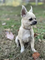 processed/2464a87c-7af3-40bf-9ee2-e7f58e5263e4/facility/bf0394bc-b4fb-4c61-a9c7-5b7e9236fe92