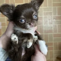 processed/2464a87c-7af3-40bf-9ee2-e7f58e5263e4/facility/cac8d906-922f-4926-b143-424888f2ede0