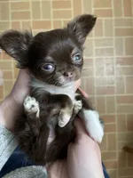 processed/2464a87c-7af3-40bf-9ee2-e7f58e5263e4/facility/cac8d906-922f-4926-b143-424888f2ede0