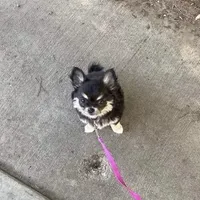 processed/2464a87c-7af3-40bf-9ee2-e7f58e5263e4/facility/d182b91a-a3b9-4bb6-9b7a-3e3a063385b4