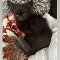 processed/2464a87c-7af3-40bf-9ee2-e7f58e5263e4/facility/d76ca3de-b3b2-4462-af40-8758d737ebf7