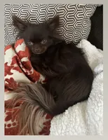 processed/2464a87c-7af3-40bf-9ee2-e7f58e5263e4/facility/d76ca3de-b3b2-4462-af40-8758d737ebf7