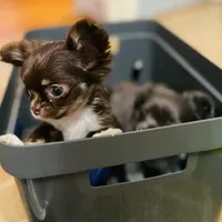 processed/2464a87c-7af3-40bf-9ee2-e7f58e5263e4/facility/eb50899f-385f-469a-a011-106b3e8a18e8