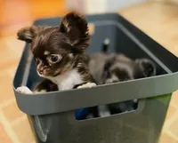 processed/2464a87c-7af3-40bf-9ee2-e7f58e5263e4/facility/eb50899f-385f-469a-a011-106b3e8a18e8