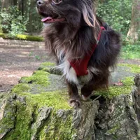 processed/2464a87c-7af3-40bf-9ee2-e7f58e5263e4/facility/f8bd71f3-4d81-4bc0-82da-459e76fafda2