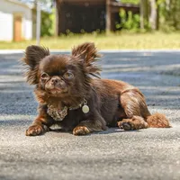 processed/2464a87c-7af3-40bf-9ee2-e7f58e5263e4/facility/fae3af6d-8e82-4539-b83e-d8be4c0b956c