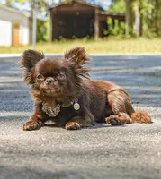 processed/2464a87c-7af3-40bf-9ee2-e7f58e5263e4/facility/fae3af6d-8e82-4539-b83e-d8be4c0b956c