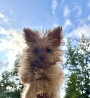 processed/24679721-4a8f-4bca-a701-c0322d2995a6/listing/2aa919e8-0092-4969-9762-657ff570347b/0e2f9c3d-b517-4692-bcd4-802274ada066