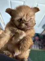 processed/24679721-4a8f-4bca-a701-c0322d2995a6/listing/2aa919e8-0092-4969-9762-657ff570347b/333b45a9-6bda-447c-b2fe-2a90630ed21d