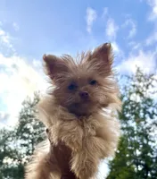 processed/24679721-4a8f-4bca-a701-c0322d2995a6/listing/2aa919e8-0092-4969-9762-657ff570347b/38170323-56e4-42d0-acba-1e720899128b