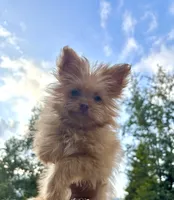 processed/24679721-4a8f-4bca-a701-c0322d2995a6/listing/2aa919e8-0092-4969-9762-657ff570347b/68606f0c-b4ad-49e5-b130-3457656ab8e4