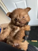 processed/24679721-4a8f-4bca-a701-c0322d2995a6/listing/2aa919e8-0092-4969-9762-657ff570347b/7c712ccd-b3c3-489f-beed-35416a0f6eb7