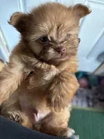 processed/24679721-4a8f-4bca-a701-c0322d2995a6/listing/2aa919e8-0092-4969-9762-657ff570347b/aa8227f6-a30e-4adc-8408-f76c7b6db3fc