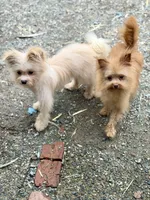 processed/24679721-4a8f-4bca-a701-c0322d2995a6/listing/9364d573-44cf-4ffa-879d-d688789d7272/34f01420-8e80-4cbd-82d6-af9ad897b428