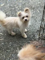 processed/24679721-4a8f-4bca-a701-c0322d2995a6/listing/9364d573-44cf-4ffa-879d-d688789d7272/50c84864-d283-4fb6-bbd5-87caabd22610